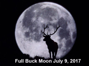 Name:  buck-moon-july-9-2017.jpg
Views: 157
Size:  28.0 KB