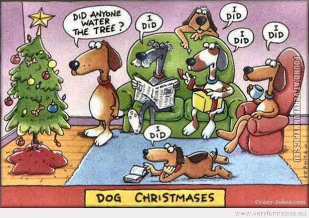 Name:  funny-picture-dog-christmas-did-anyone-water-the-tree.jpg
Views: 169
Size:  122.7 KB