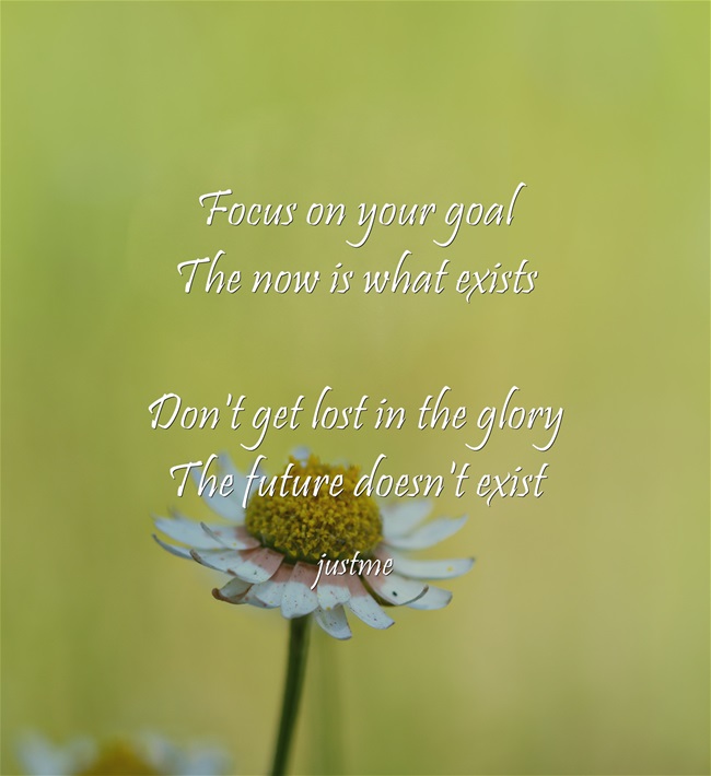 Name:  Focus-on-your-goal-The.jpg
Views: 7761
Size:  71.3 KB